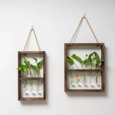 Wooden Test Tube Planter Frame – Wall-Mounted Plant Display - 5