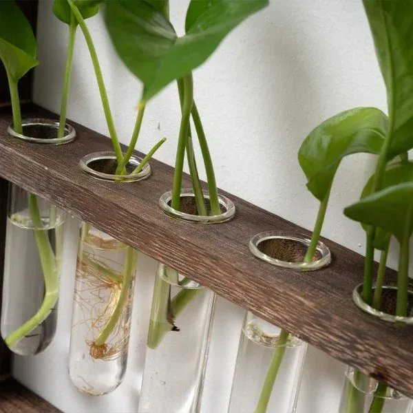 Wooden Test Tube Planter Frame – Wall-Mounted Plant Display - Image 7