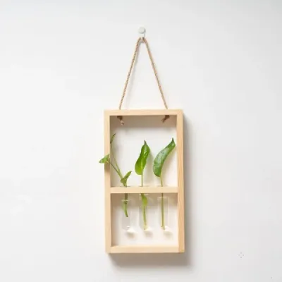 Wooden Test Tube Planter Frame – Wall-Mounted Plant Display - 8