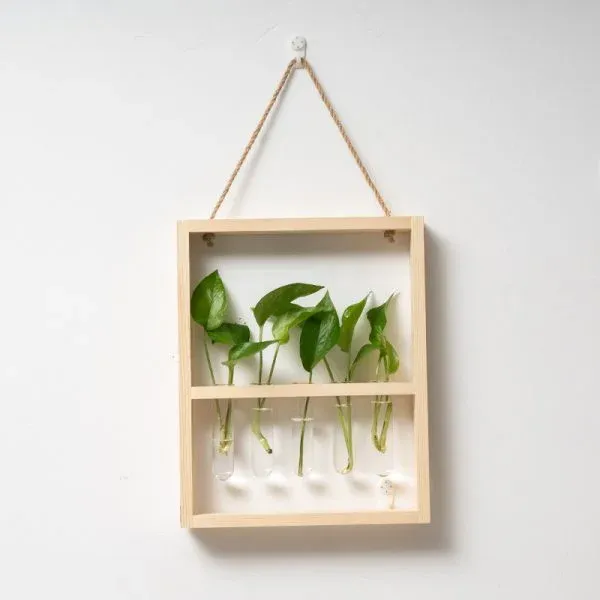 Wooden Test Tube Planter Frame – Wall-Mounted Plant Display - Image 9