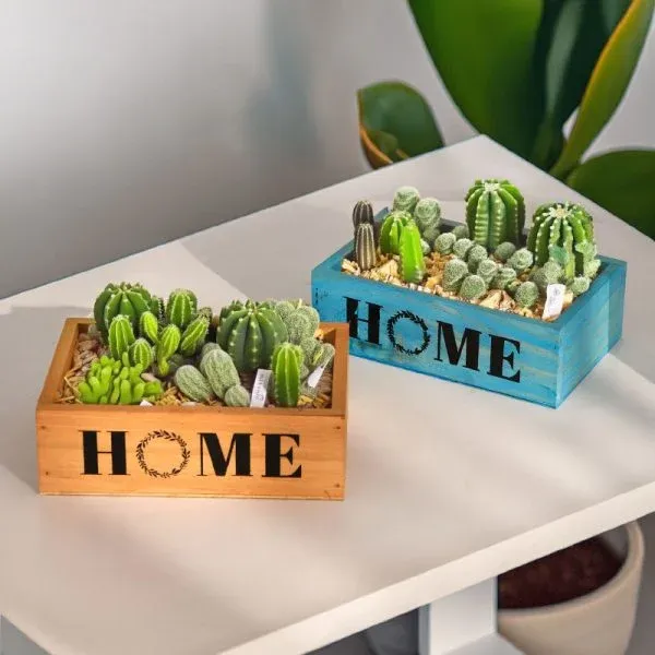 Zakka Style Wooden Planter Box for Balcony Succulent Arrangements and Mini Landscapes - Image 2