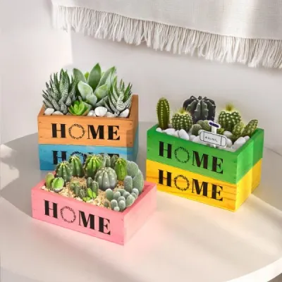 Zakka Style Wooden Planter Box for Balcony Succulent Arrangements and Mini Landscapes - 4