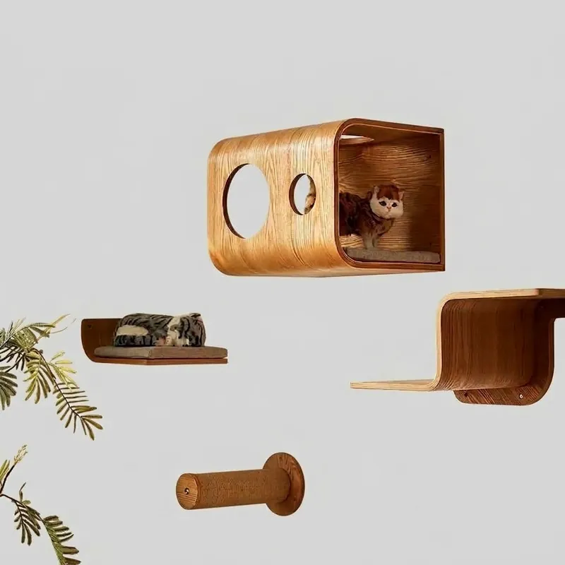 Wall-mounted bentwood cat house with modular steps and scratcher post