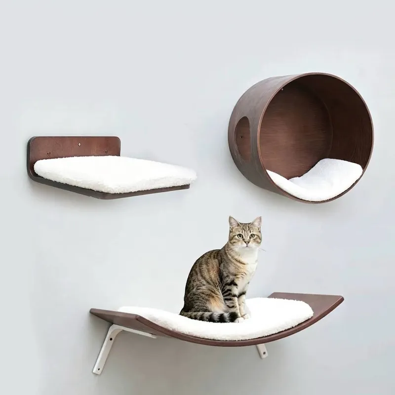 Tabby cat sitting on a curved walnut cat shelf mounted on a wall