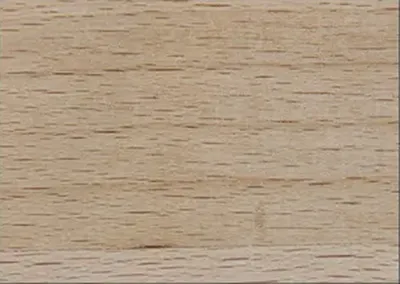 Beech wood texture