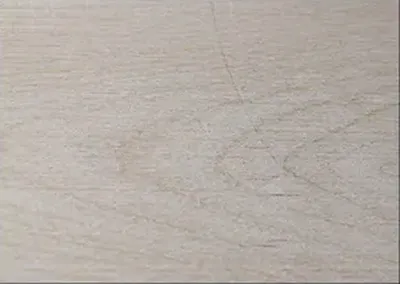 Birch wood texture