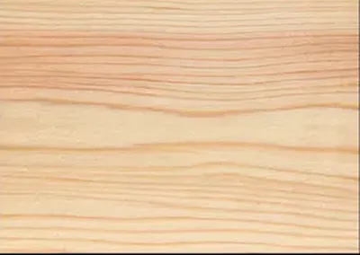 Cedar wood texture