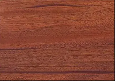 Mahogany wood texture