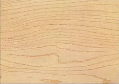 Maple wood texture