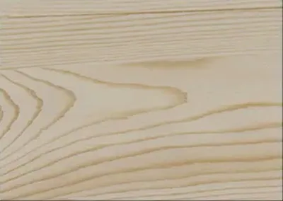 Pine wood texture