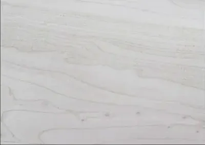 Poplar wood texture