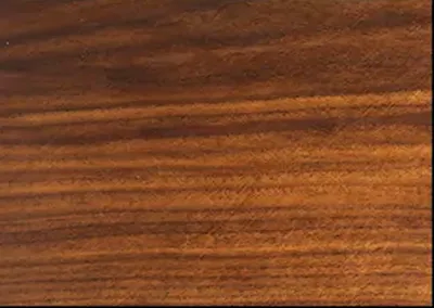 Walnut wood texture